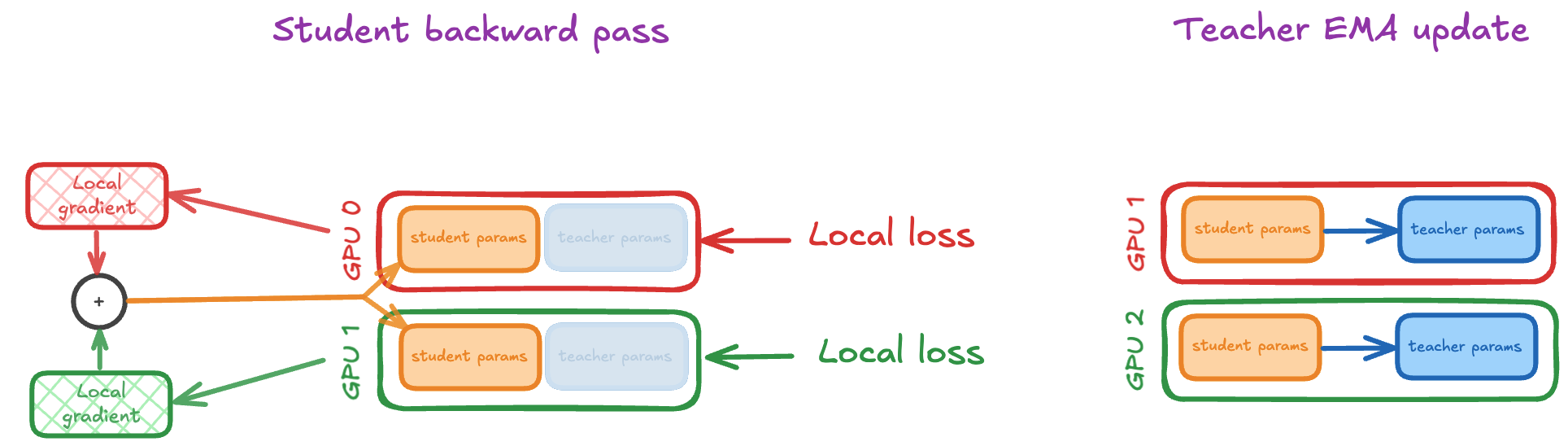 DDP update mechanism showing student backward pass with all-reduce and teacher EMA update