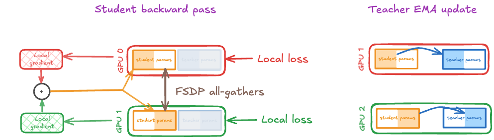 FSDP identical sharding update mechanism showing local teacher EMA update without AllGather