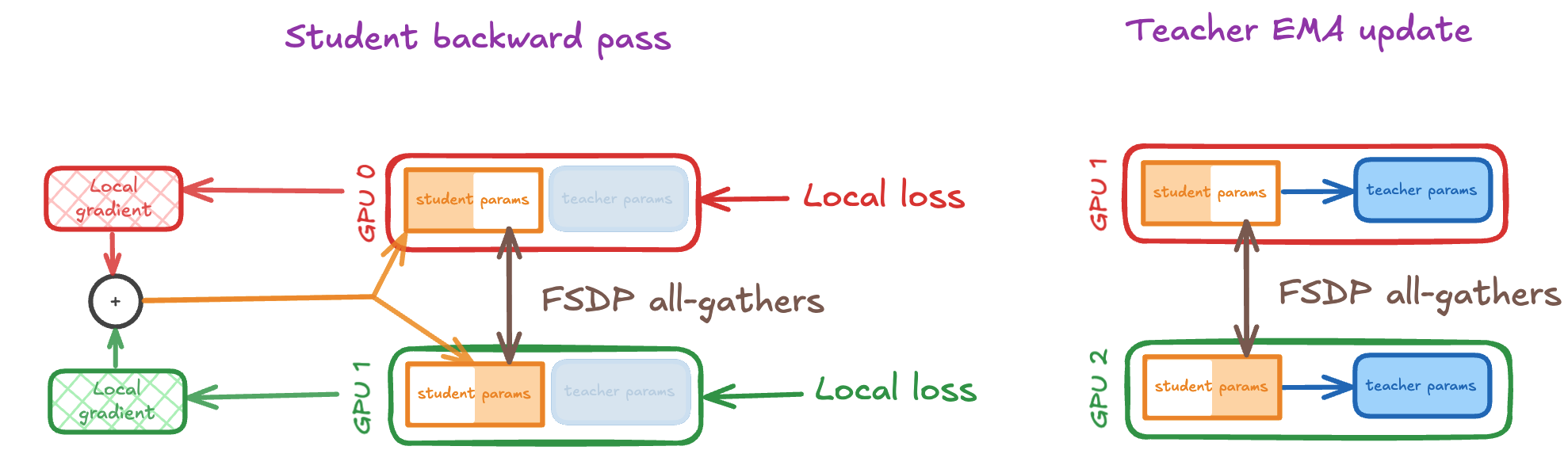FSDP student update mechanism showing ReduceScatter and AllGather for teacher EMA update